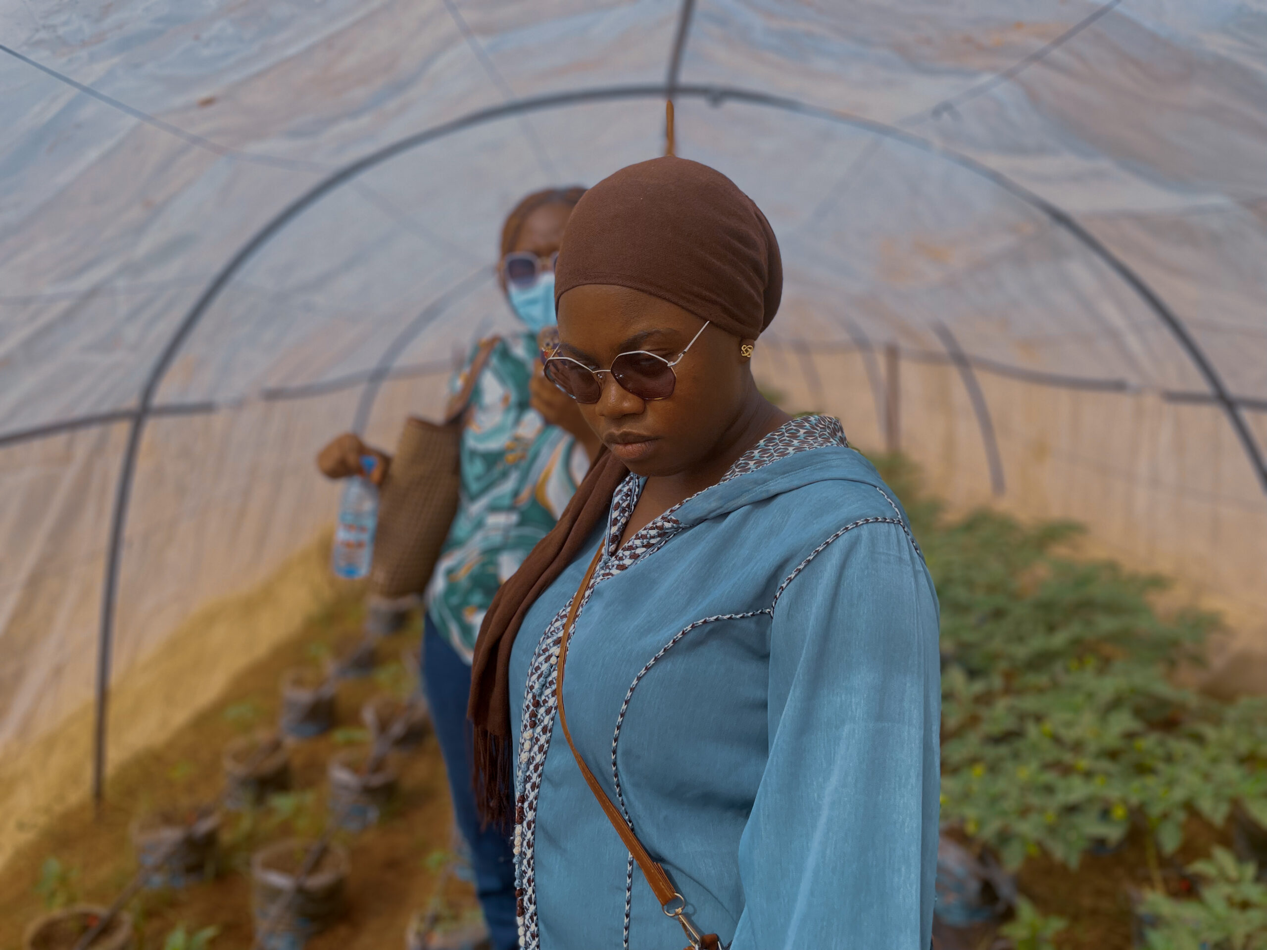 Des étudiants de DAUST travaillent sur un système d’irrigation intelligent pour les zones rurales de Guinée Équatoriale